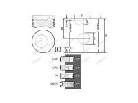 PISTON+SEGMENTI MOTOR Ford