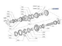 PINION VITEZA 2 Z45 Fiat