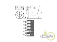 PISTON+SEGMENTI MOTOR Massey Ferguson